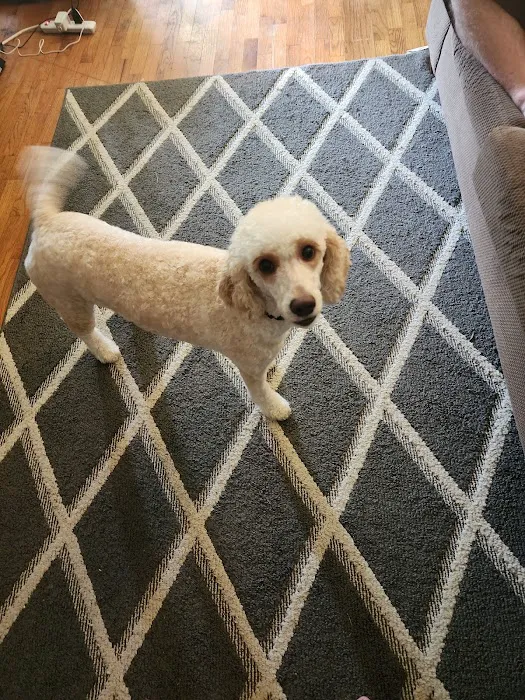 Northwest Tennessee Veterinary Services Picture 8