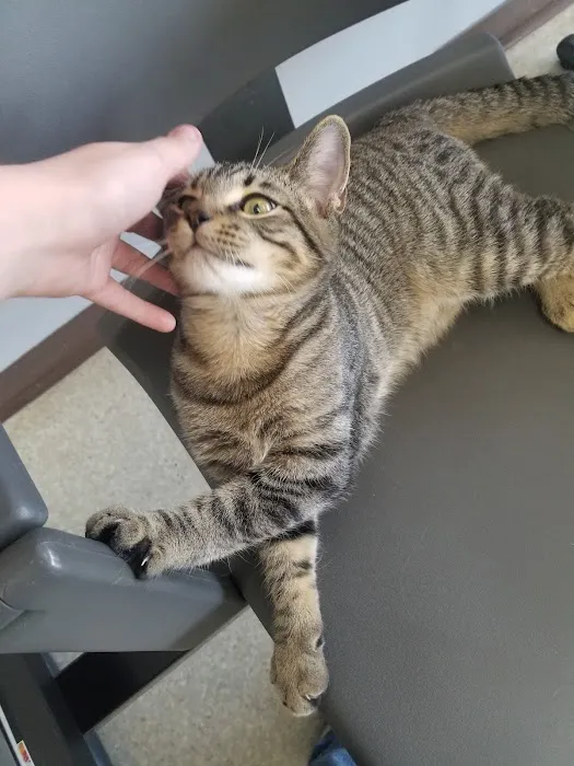 Northwest Tennessee Veterinary Services Picture 9