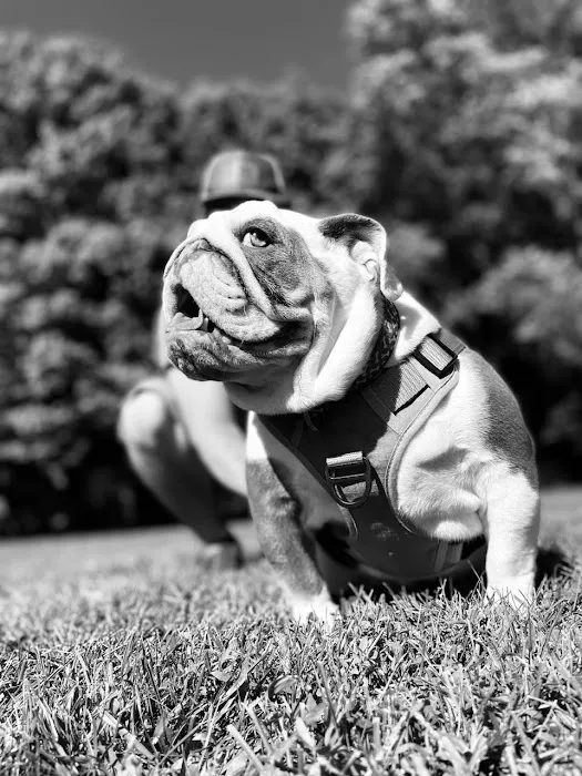 Heritage Animal Hospital Picture 2