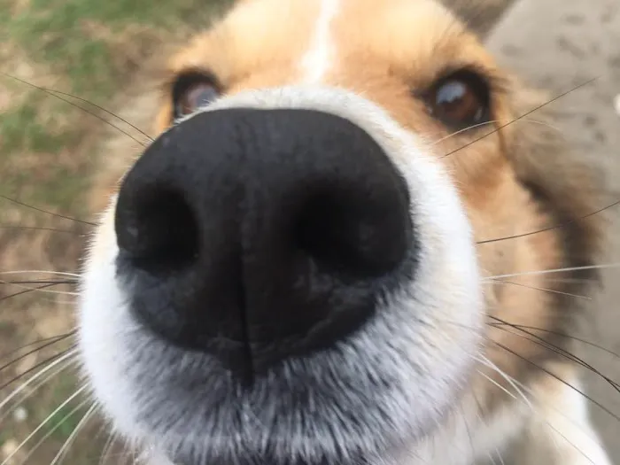 Heritage Animal Hospital Picture 3