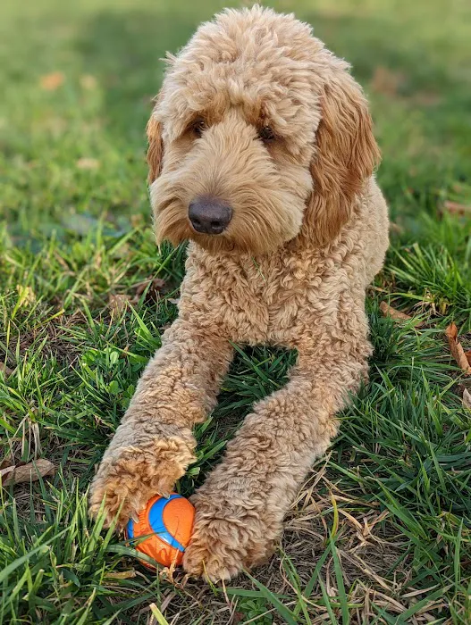 Heritage Animal Hospital Picture 1