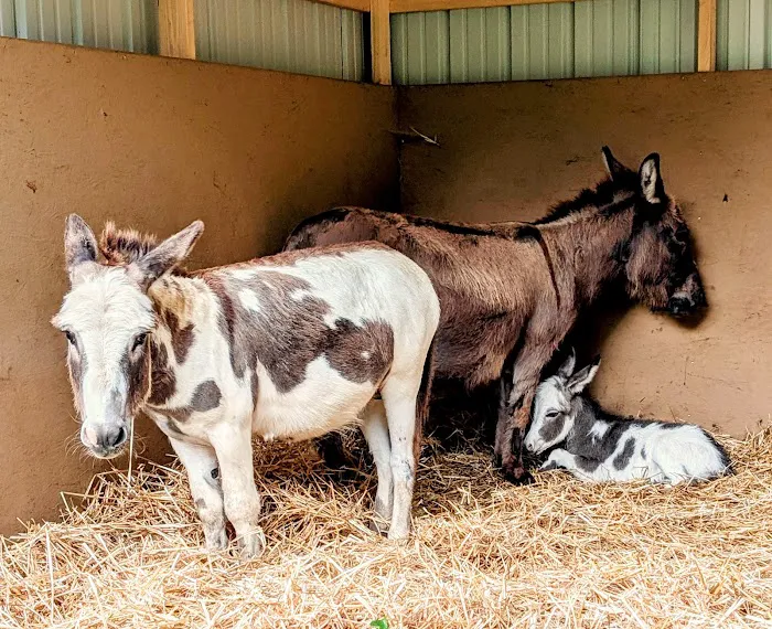 Heritage Animal Hospital Picture 6