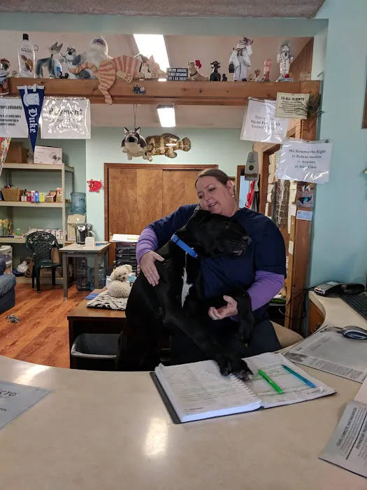 Animal House Veterinary Services Picture 3