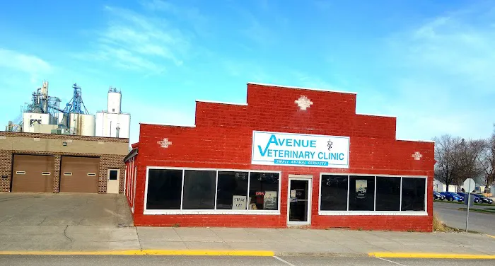 Avenue Veterinary Clinic: Beukelman A G DVM Picture 1