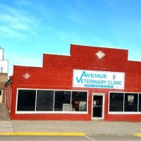 Avenue Veterinary Clinic: Beukelman A G DVM ico
