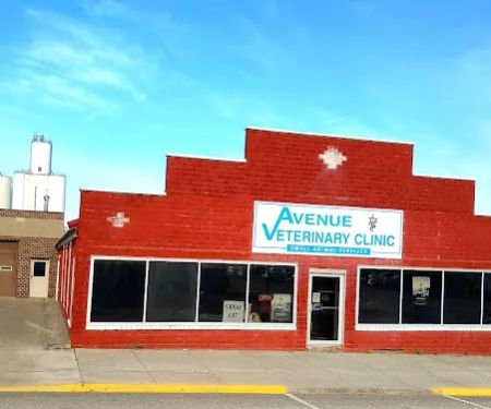 Avenue Veterinary Clinic: Beukelman A G DVM