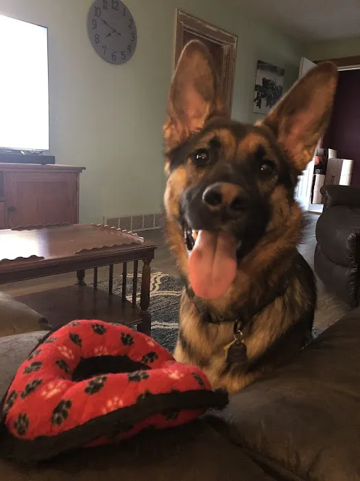 Central Veterinary Clinic Picture 2