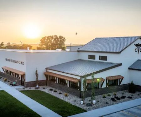 Central Veterinary Clinic