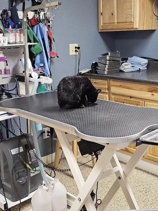 Sioux Center Veterinary Clinic Picture 1