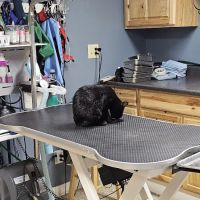 Sioux Center Veterinary Clinic ico