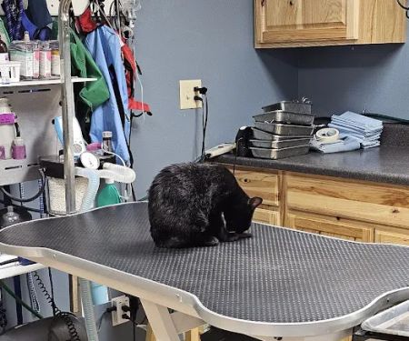 Sioux Center Veterinary Clinic