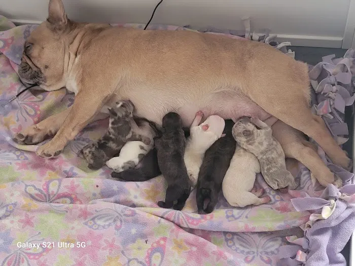 Sioux Center Veterinary Clinic Picture 2