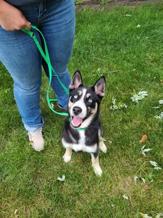 Sheldon Veterinary Medical Center Picture 1