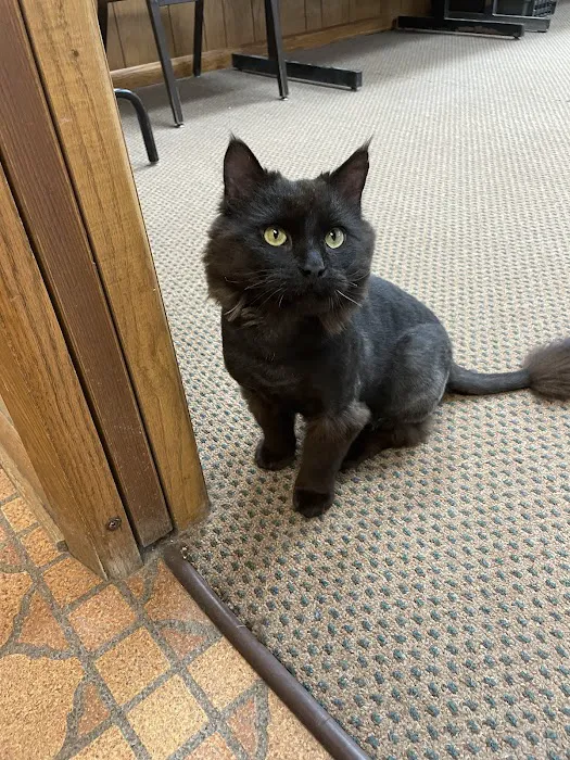 Sheldon Veterinary Medical Center Picture 2