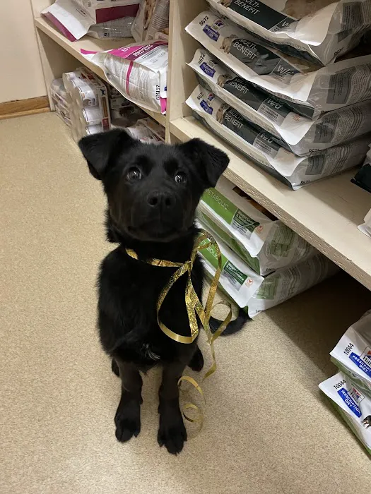 Sheldon Veterinary Medical Center Picture 6