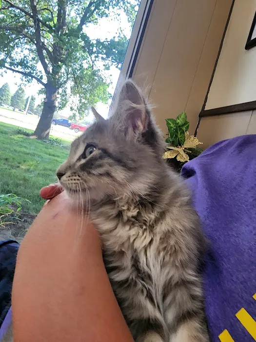 Sheldon Veterinary Medical Center Picture 8