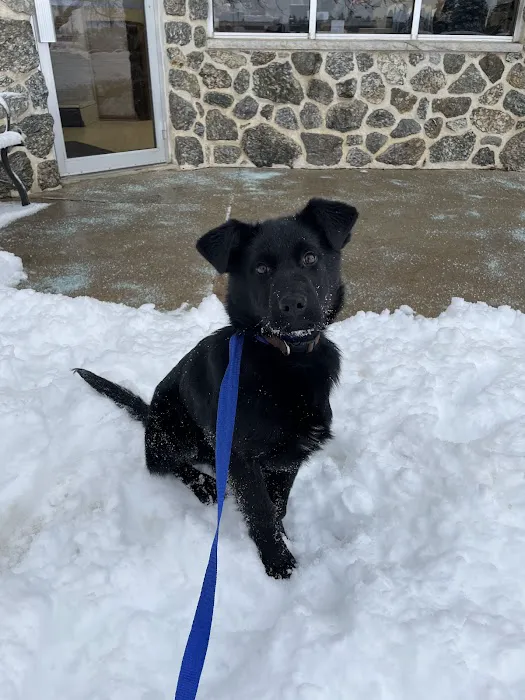 Sheldon Veterinary Medical Center Picture 7