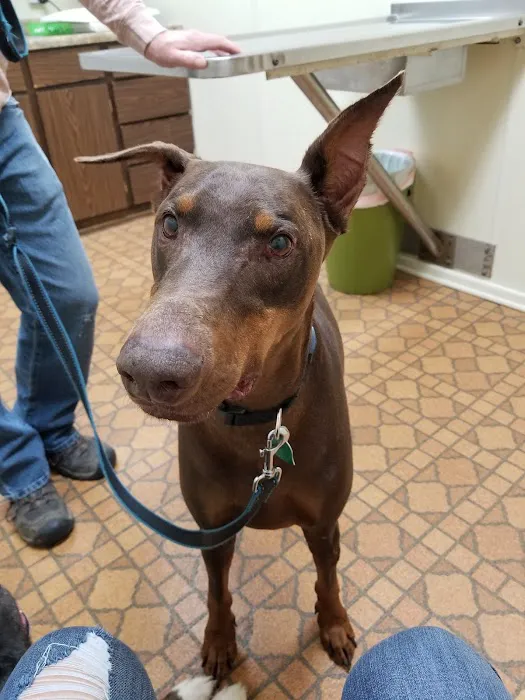 Sheldon Veterinary Medical Center Picture 9