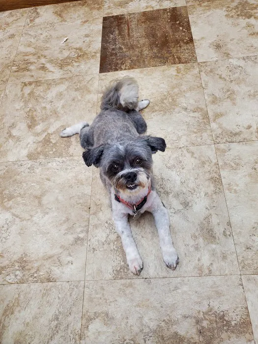 Valley Veterinary Clinic Picture 1