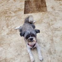 Valley Veterinary Clinic ico