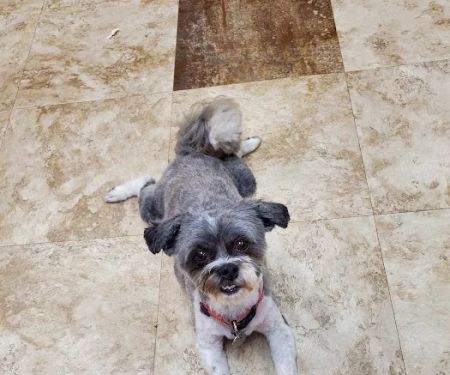 Valley Veterinary Clinic