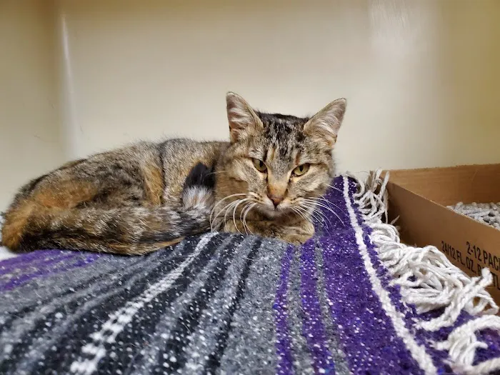 Akron Veterinary Clinic Picture 4