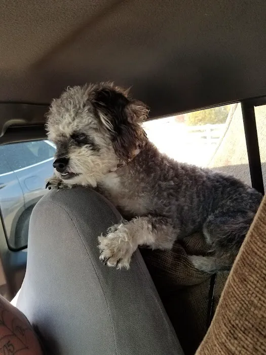 Akron Veterinary Clinic Picture 2