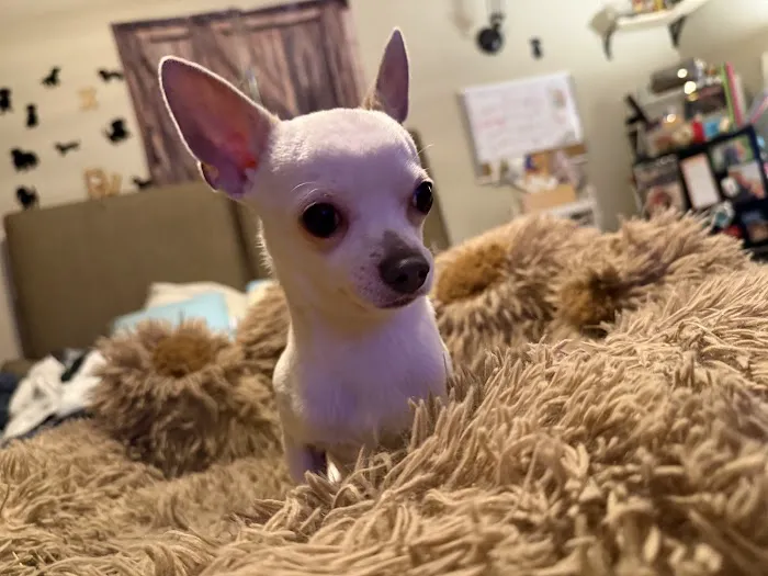 Akron Veterinary Clinic Picture 7