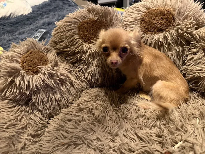 Akron Veterinary Clinic Picture 6