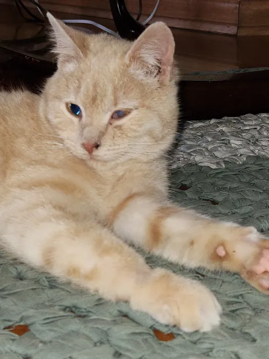 Akron Veterinary Clinic Picture 9