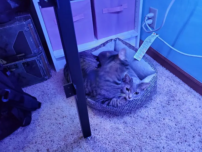 Harlan Veterinary Associates Picture 1