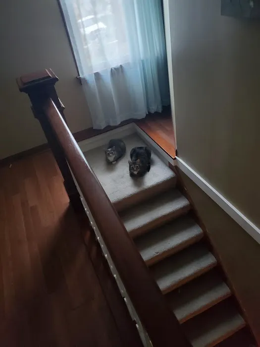 Harlan Veterinary Associates Picture 2