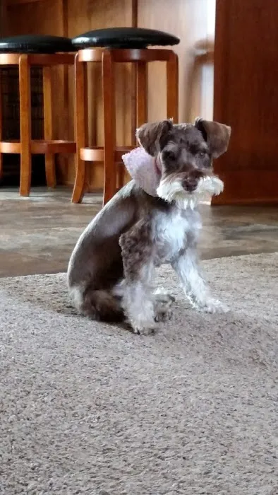 Harlan Veterinary Associates Picture 3