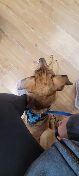 Oakland Veterinary Clinic Picture 2