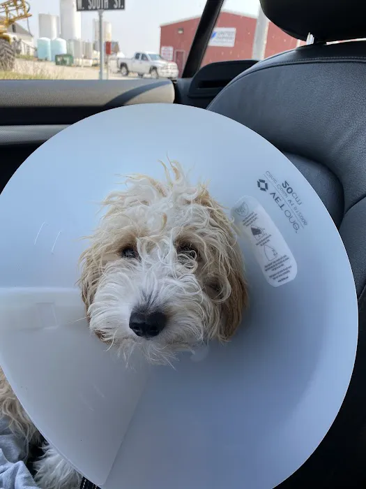 Hilltop Veterinary Clinic, LLC Picture 1