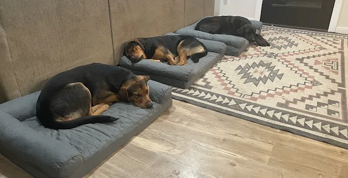 Hilltop Veterinary Clinic, LLC Picture 3