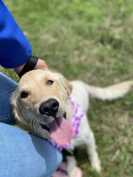 Affordable Vet Care Picture 2