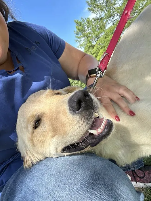 Affordable Vet Care Picture 7