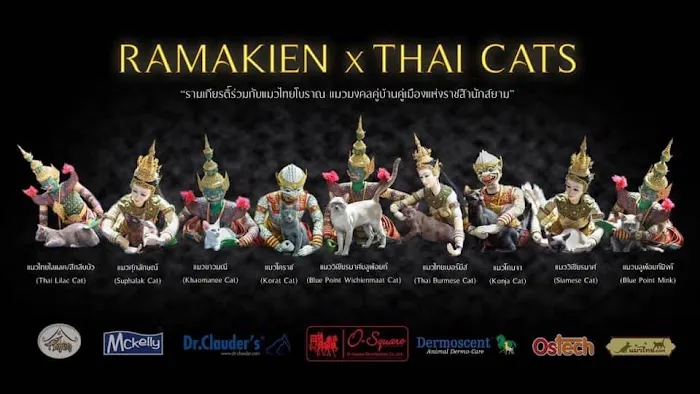 Mo RoyalThai Cattery Picture 5