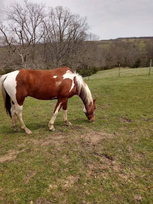 Young Veterinary Clinic Picture 3