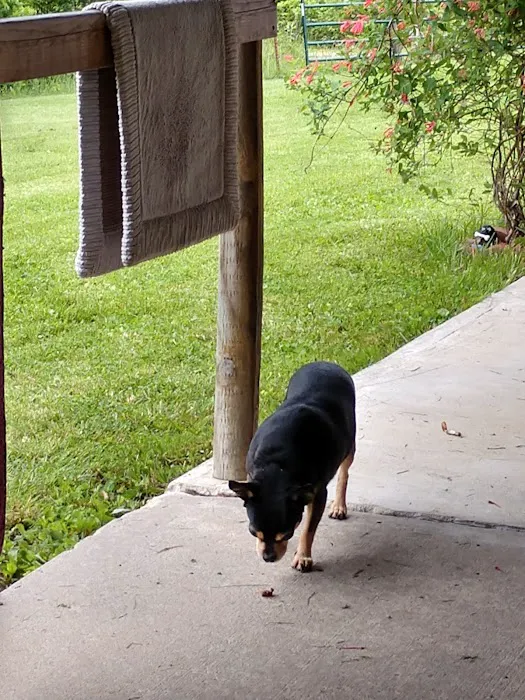 Young Veterinary Clinic Picture 6