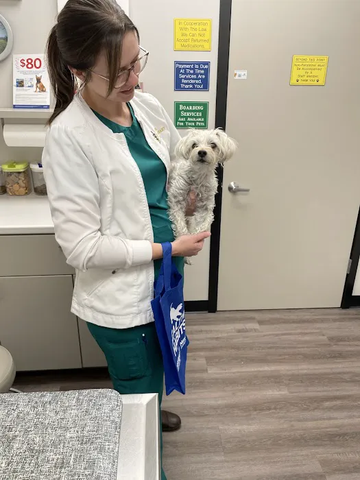 Young Veterinary Clinic Picture 8