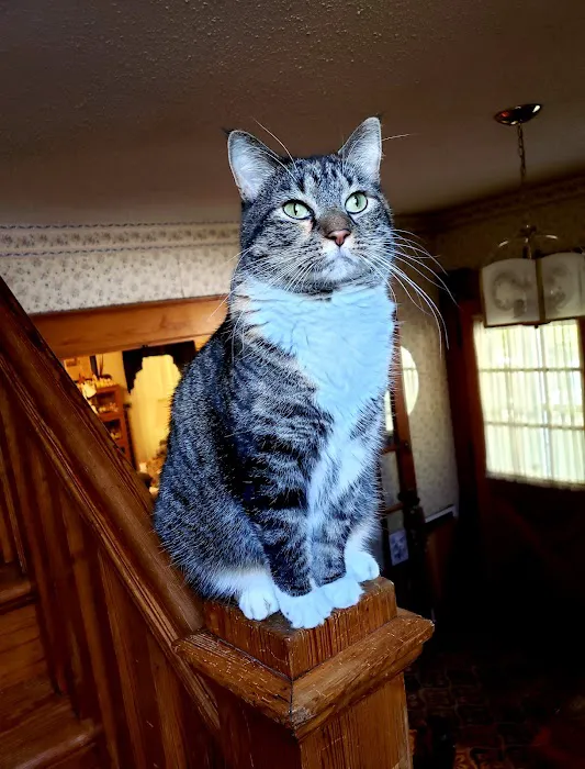 Young Veterinary Clinic Picture 10