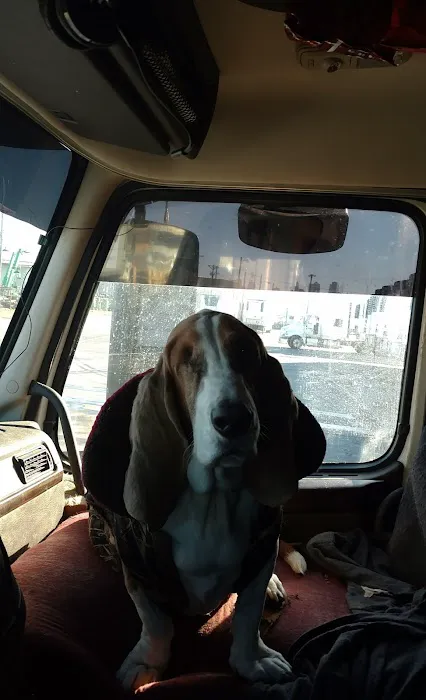 Young Veterinary Clinic Picture 9