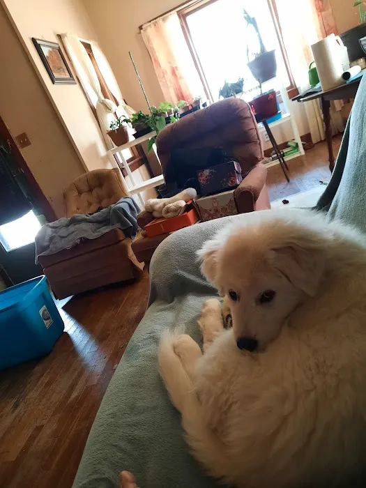 North Central Mo Vet Services Picture 5