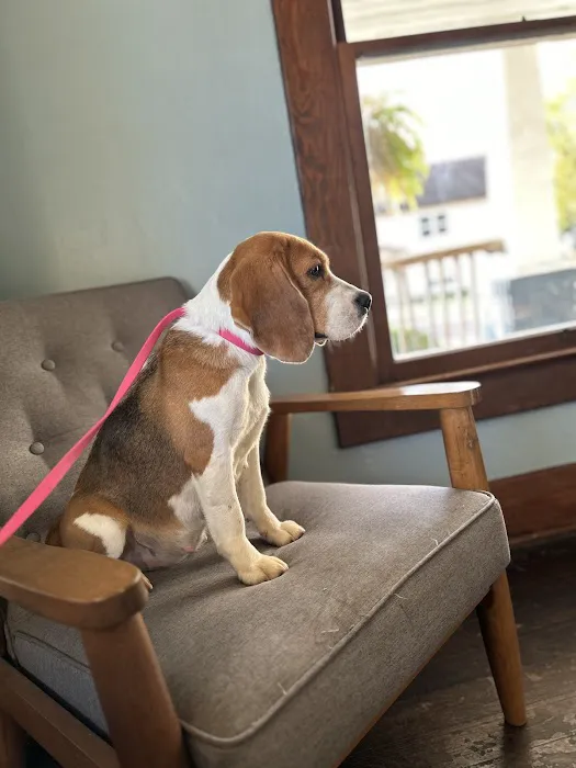 North Central Mo Vet Services Picture 6