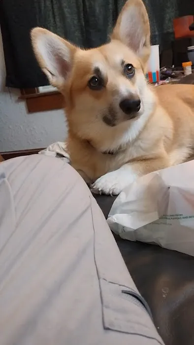 North Central Mo Vet Services Picture 9