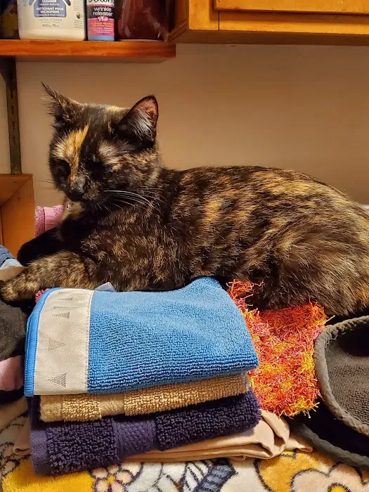 Meller-James & Associates Veterinary Services Picture 2