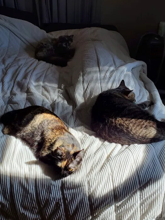 Meller-James & Associates Veterinary Services Picture 1