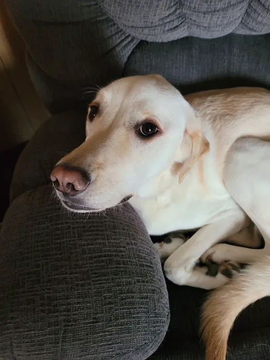 Meller-James & Associates Veterinary Services Picture 6